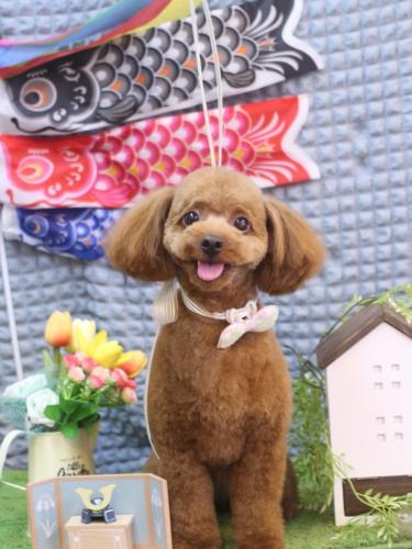 20230516ベルくん